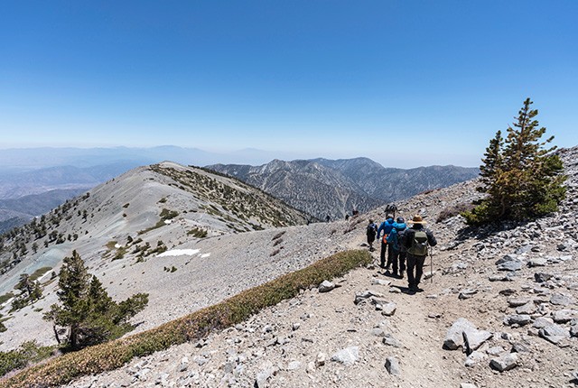 Mt. Baldy, CA summer hiking along trail.